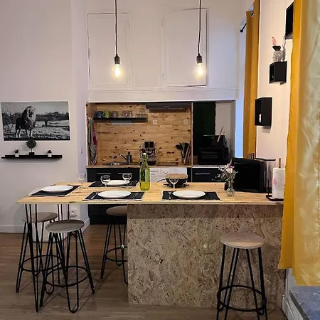 Apartment Climatise Aux Pieds De La Cite *