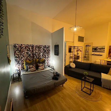 Apartment Climatise Aux Pieds De La Cite