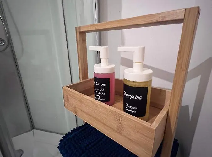 Apartment Climatise Aux Pieds De La Cite Carcassonne