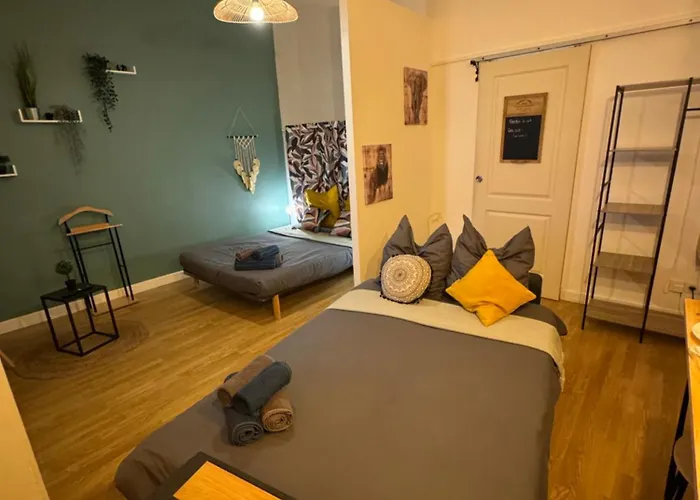 Apartment Climatise Aux Pieds De La Cite *