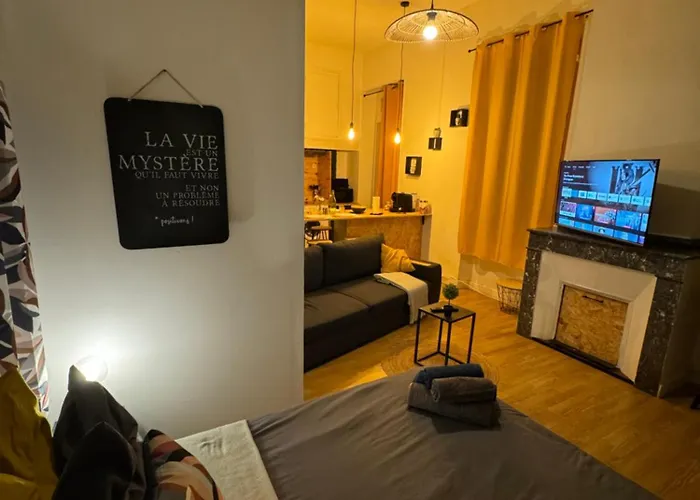 Climatise Aux Pieds De La Cite Carcassonne