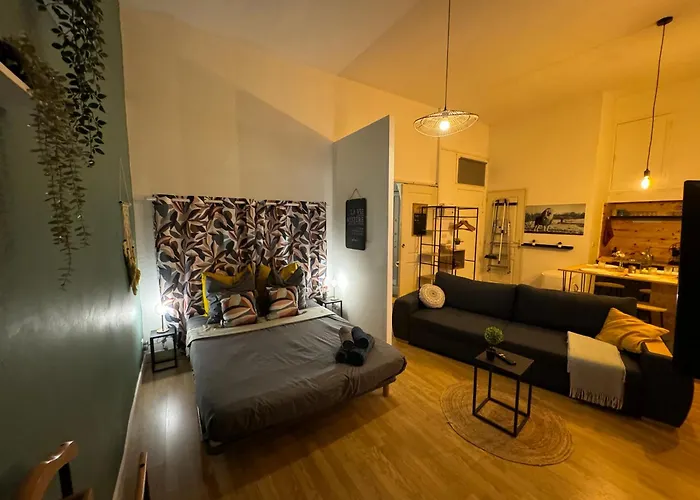 Apartment Climatise Aux Pieds De La Cite