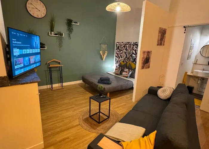 Climatise Aux Pieds De La Cite Apartment *